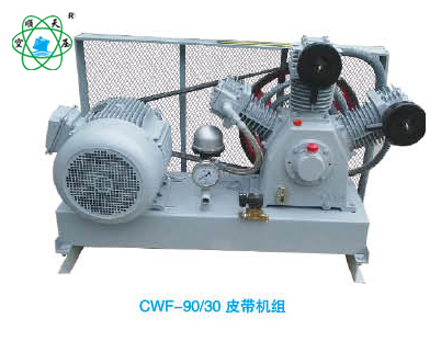CWF-90/30皮带机组